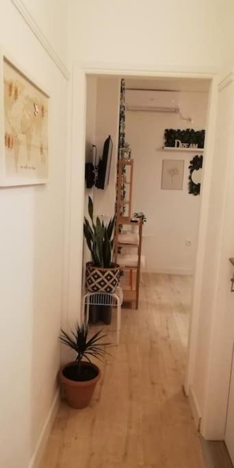 Heart Of Athens II 25Sqm Apartment Exterior foto